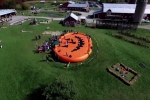 The Pumpkin Pad